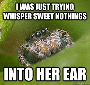 I was just trying whisper sweet nothings into her ear  Misunderstood Spider