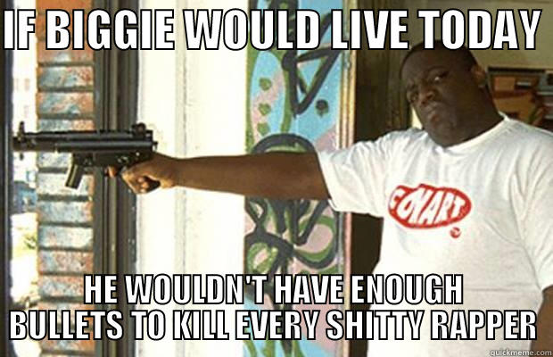 BIGGIE  - IF BIGGIE WOULD LIVE TODAY  HE WOULDN'T HAVE ENOUGH BULLETS TO KILL EVERY SHITTY RAPPER Misc