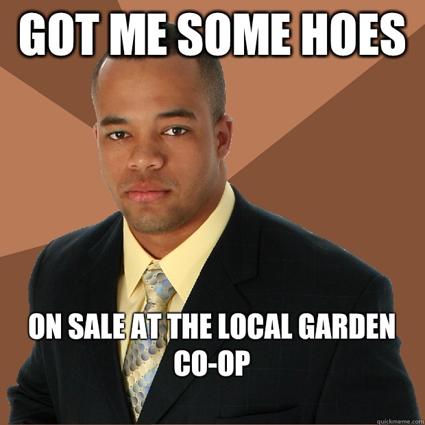 Got me some hoes On sale at the local garden co-op
  Successful Black Man