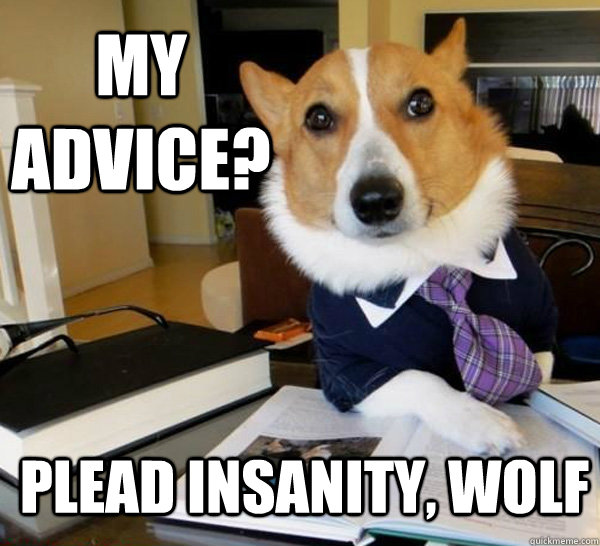 my advice? plead insanity, wolf - my advice? plead insanity, wolf  Lawyer Dog