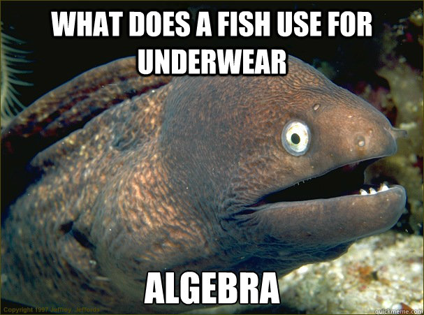 what does a fish use for underwear algebra  Bad Joke Eel