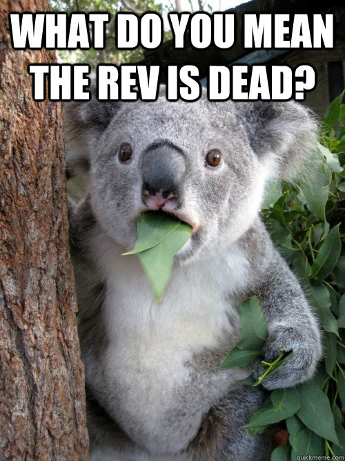 what do you mean The Rev is dead? - what do you mean The Rev is dead?  koala bear