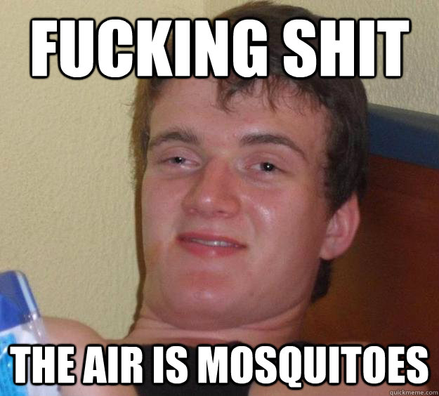 fucking shit the air is mosquitoes  10 Guy