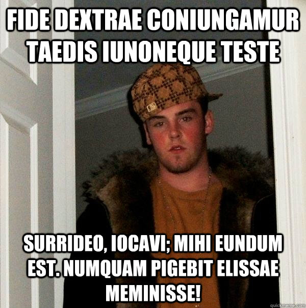 fide dextrae coniungamur taedis iunoneque teste surrideo, iocavi; mihi eundum est. numquam pigebit elissae meminisse!  Scumbag Steve