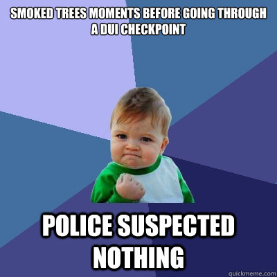 Smoked trees moments before going through a dui checkpoint police suspected nothing - Smoked trees moments before going through a dui checkpoint police suspected nothing  Success Kid