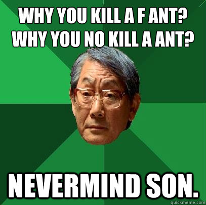 WHY YOU KILL A F ANT?
WHY YOU NO KILL A ANT? Nevermind Son.  High Expectations Asian Father