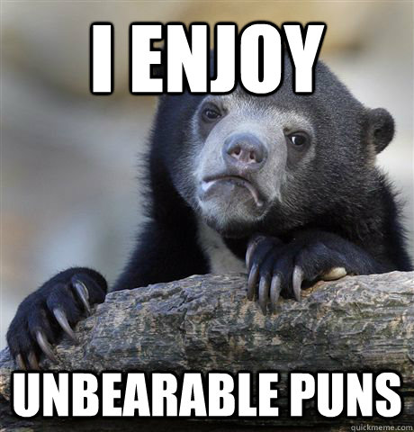 I enjoy unbearable puns - I enjoy unbearable puns  Confession Bear