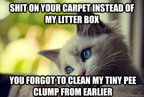 shit on your carpet instead of my litter box you forgot to clean my tiny pee clump from earlier  First World Problems Cat