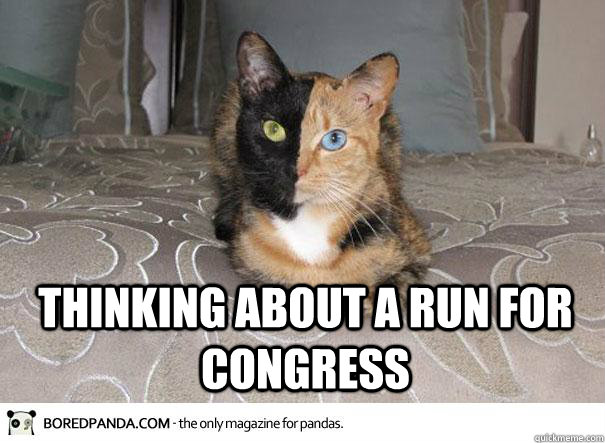 Thinking about a run for congress - Thinking about a run for congress  perfect candidate