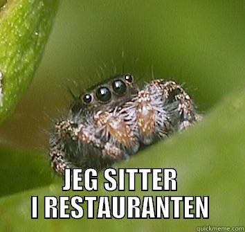  JEG SITTER I RESTAURANTEN Misunderstood Spider