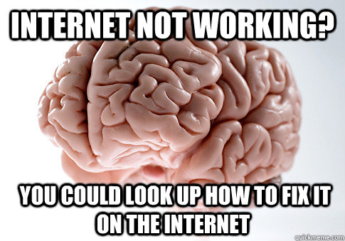 internet not working?  you could Look up how to fix it on the internet  Scumbag Brain