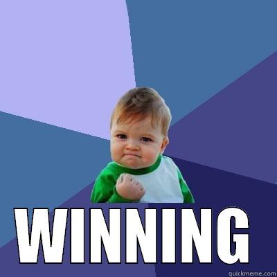 Winning is awesome -  WINNING Success Kid