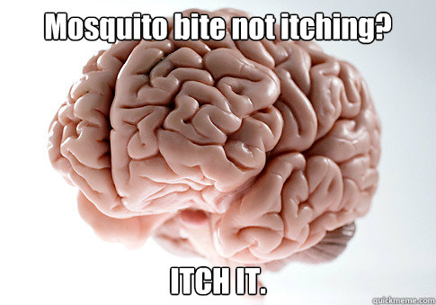 Mosquito bite not itching? ITCH IT.  Scumbag Brain