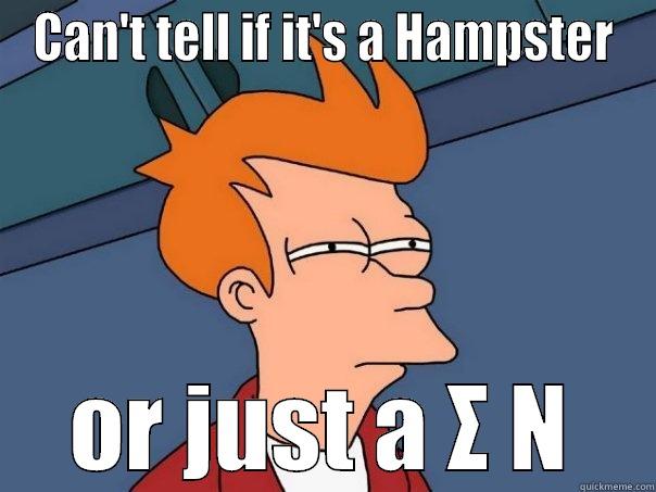 CAN'T TELL IF IT'S A HAMPSTER OR JUST A Σ Ν Futurama Fry