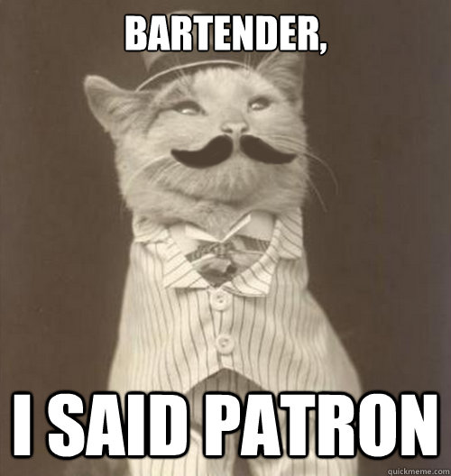 bartender, I said patron  Original Business Cat