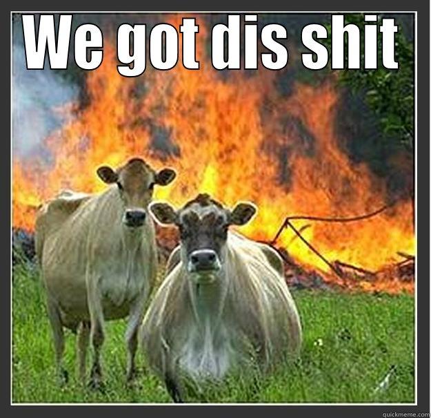 WE GOT DIS SHIT  Evil cows