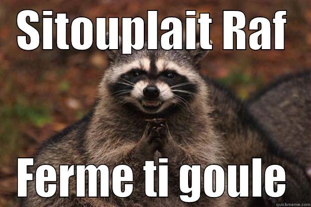 tg raf - SITOUPLAIT RAF FERME TI GOULE Evil Plotting Raccoon