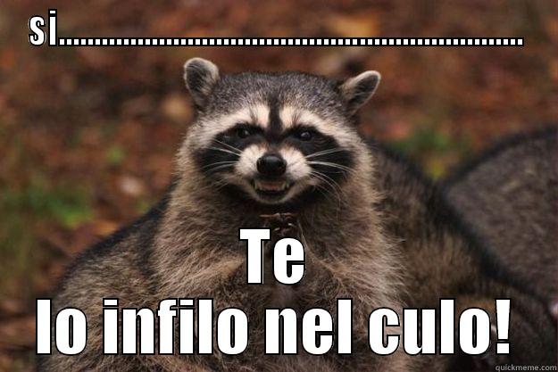 muahahahahaha i kill you - SI................................................................. TE LO INFILO NEL CULO! Evil Plotting Raccoon