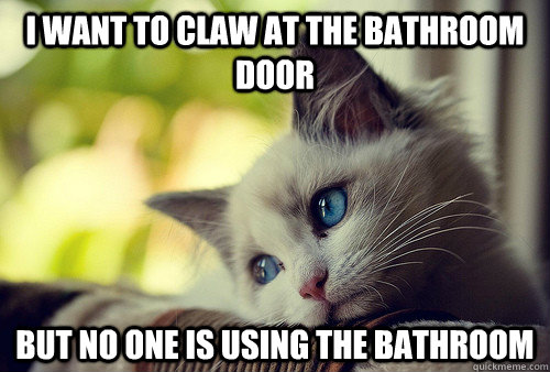 I want to claw at the bathroom door but no one is using the bathroom  First World Problems Cat