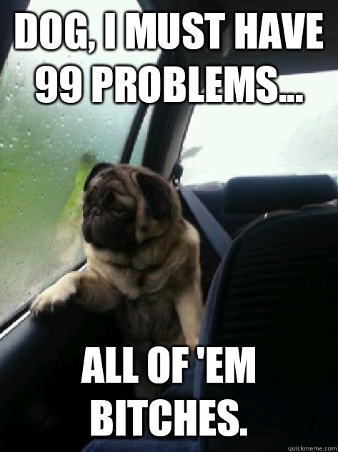 Dog, I must have 99 problems... All of 'em bitches.   Introspective Pug