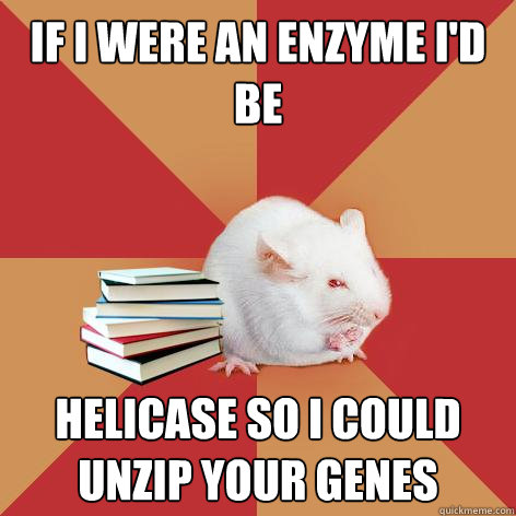 If I were an enzyme i'd be  Helicase so i could unzip your genes  Science Major Mouse