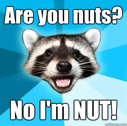 Are you nuts? No I'm NUT! - Are you nuts? No I'm NUT!  Lame Pun Coon