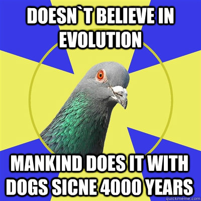 Doesn`t believe in Evolution Mankind does it with dogs sicne 4000 years  Religion Pigeon