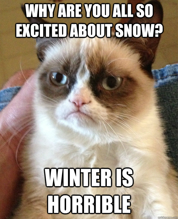 why are you all so excited about snow? winter is horrible  Grumpy Cat