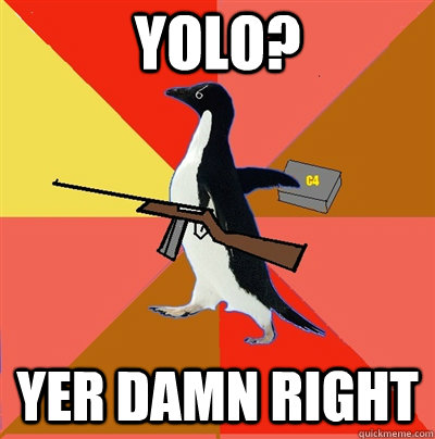 YOLO? YER DAMN RIGHT  