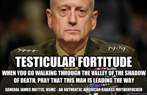 Testicular Fortitude When you go walking through the valley of the shadow of death, Pray That This Man Is Leading The Way General James Mattis, USMC - An Authentic American Badass Motherfucker  Lt Gen Mattis - American BAMF