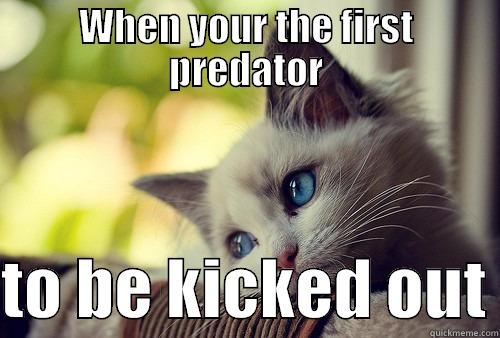 WHEN YOUR THE FIRST PREDATOR  TO BE KICKED OUT First World Problems Cat