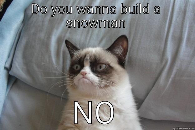 Snowman grumpy cat - DO YOU WANNA BUILD A SNOWMAN NO Grumpy Cat