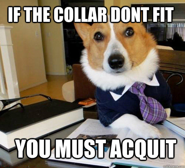 if the collar dont fit You must acquit  Lawyer Dog