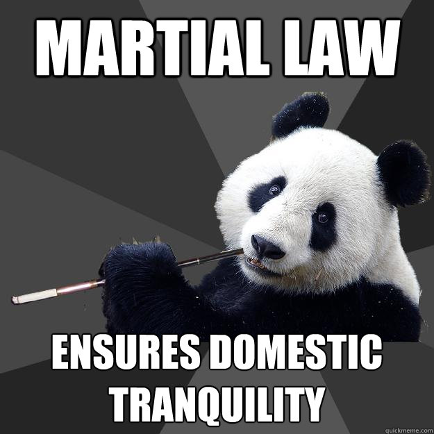 MARTIAL LAW ENSURES DOMESTIC TRANQUILITY - MARTIAL LAW ENSURES DOMESTIC TRANQUILITY  Propapanda