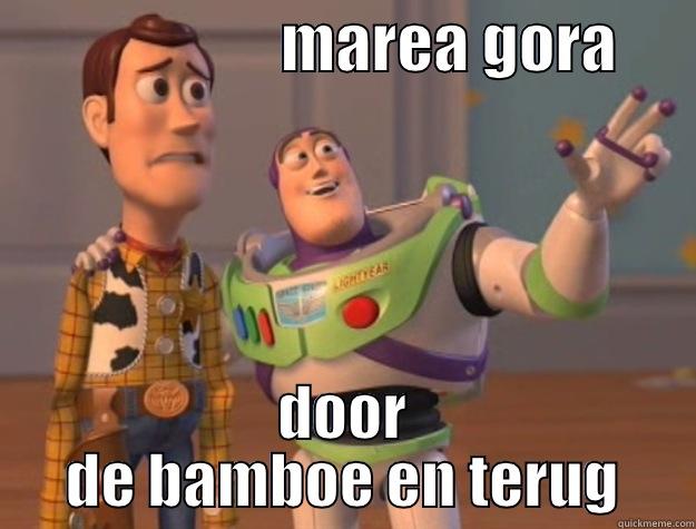                       MAREA GORA       DOOR DE BAMBOE EN TERUG Toy Story