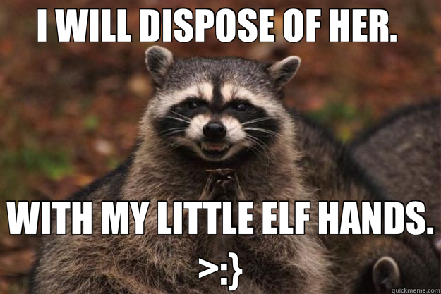 I WILL DISPOSE OF HER.  WITH MY LITTLE ELF HANDS. >:}  Evil Plotting Raccoon