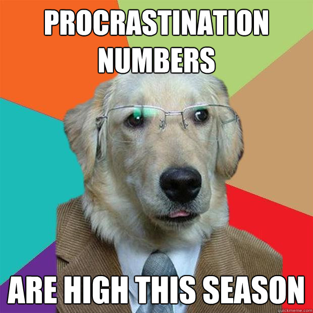 Procrastination numbers are high this season  Business Dog