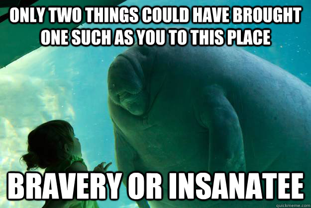 only two things could have brought one such as you to this place bravery or insanatee - only two things could have brought one such as you to this place bravery or insanatee  Overlord Manatee