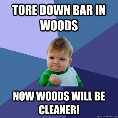 Tore down bar in woods Now woods will be cleaner!  Success Kid