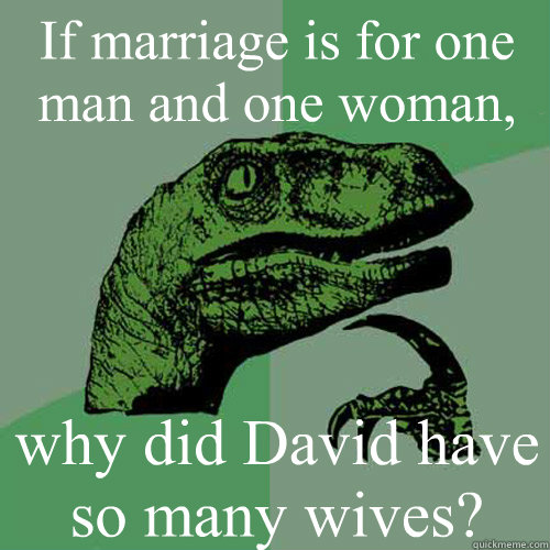 If marriage is for one man and one woman, why did David have so many wives? - If marriage is for one man and one woman, why did David have so many wives?  Philosoraptor