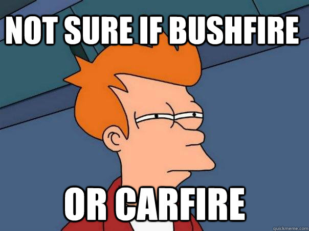 NOT SURE IF BUSHFIRE OR CARFIRE - NOT SURE IF BUSHFIRE OR CARFIRE  Futurama Fry