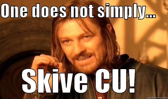 ONE DOES NOT SIMPLY...     SKIVE CU!  Boromir