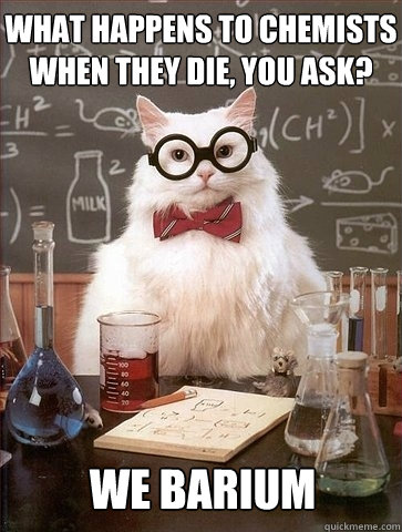 What happens to chemists when they die, you ask? we barium - What happens to chemists when they die, you ask? we barium  Chemistry Cat