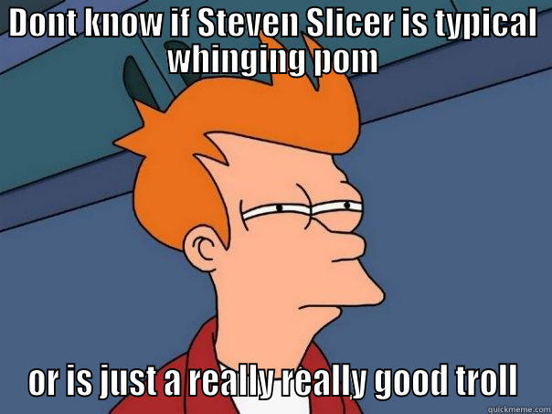 DONT KNOW IF STEVEN SLICER IS TYPICAL WHINGING POM OR IS JUST A REALLY REALLY GOOD TROLL Futurama Fry