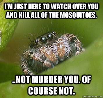 I'm just here to watch over you and kill all of the mosquitoes. ..Not murder you. Of course not.  Misunderstood Spider