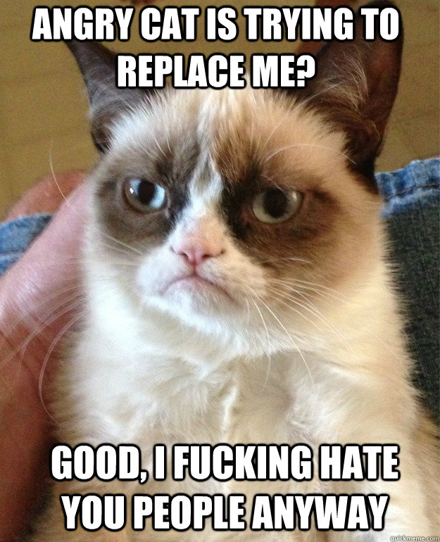 angry cat is trying to replace me? good, i fucking hate you people anyway  Grumpy Cat