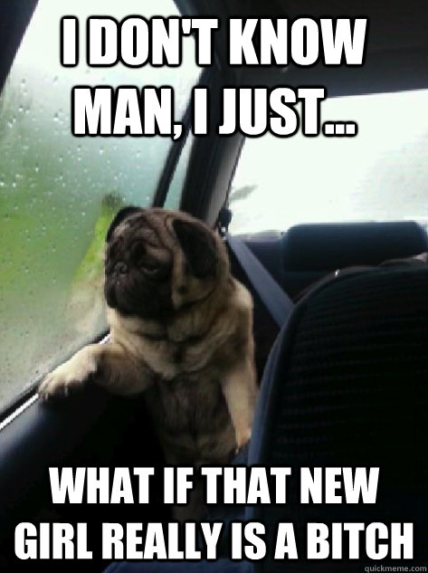 I don't know man, I just... what if that new girl really is a bitch  Introspective Pug