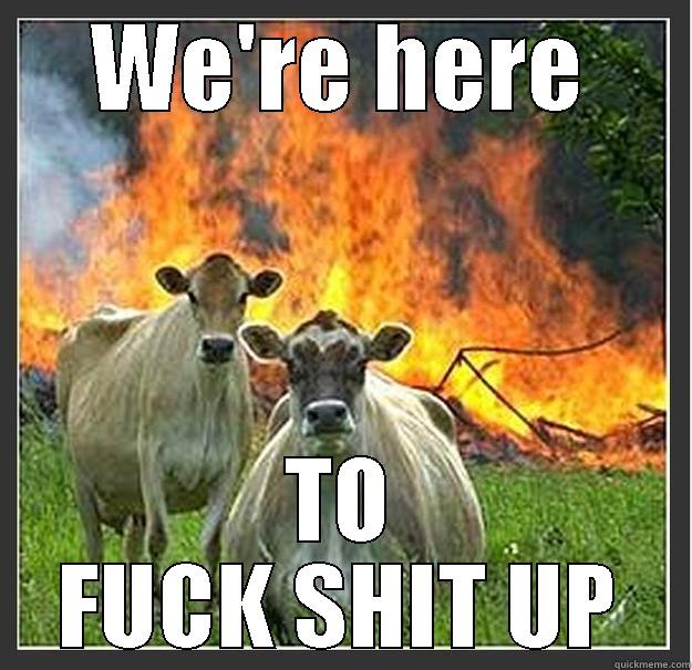 MAD COW DISEASE!!! - WE'RE HERE TO FUCK SHIT UP Evil cows