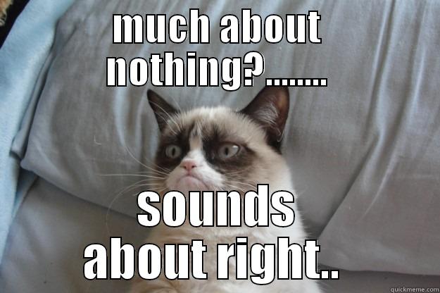 MUCH ABOUT NOTHING?........ SOUNDS ABOUT RIGHT..  Grumpy Cat