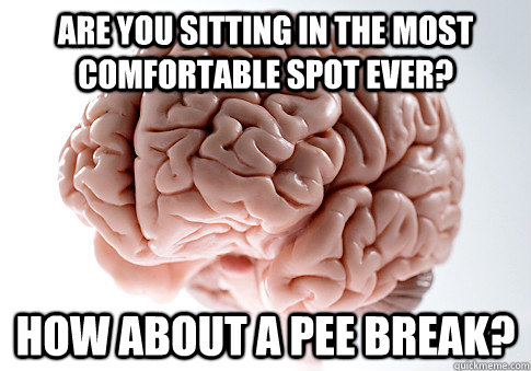 are you sitting in the most comfortable spot ever? how about a pee break?  Scumbag Brain